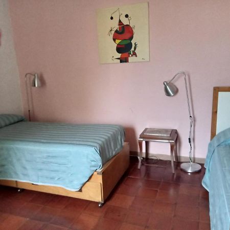 Il Giardino dei Merli Bussoleno Esterno foto
