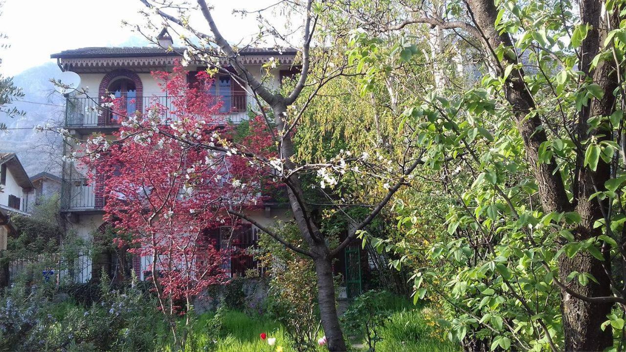 Il Giardino dei Merli Bussoleno Esterno foto